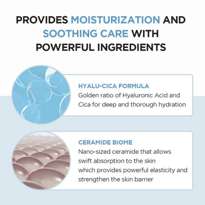 Madagascar Centella Hyalu-Cica First Ampoule (30ml/50ml/100ml)