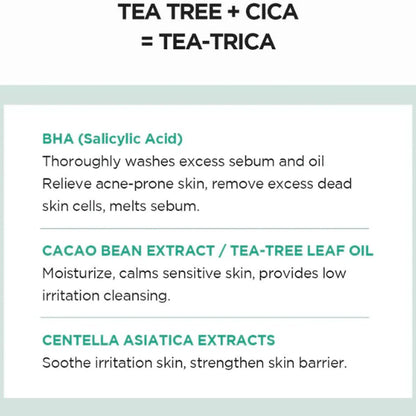 Madagascar Centella Tea-Trica BHA Foam (125ml)