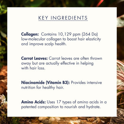 TRECELL - Day Collagen Shampoo Morning of Resort (360ml) 3 - Seoulful Skincare