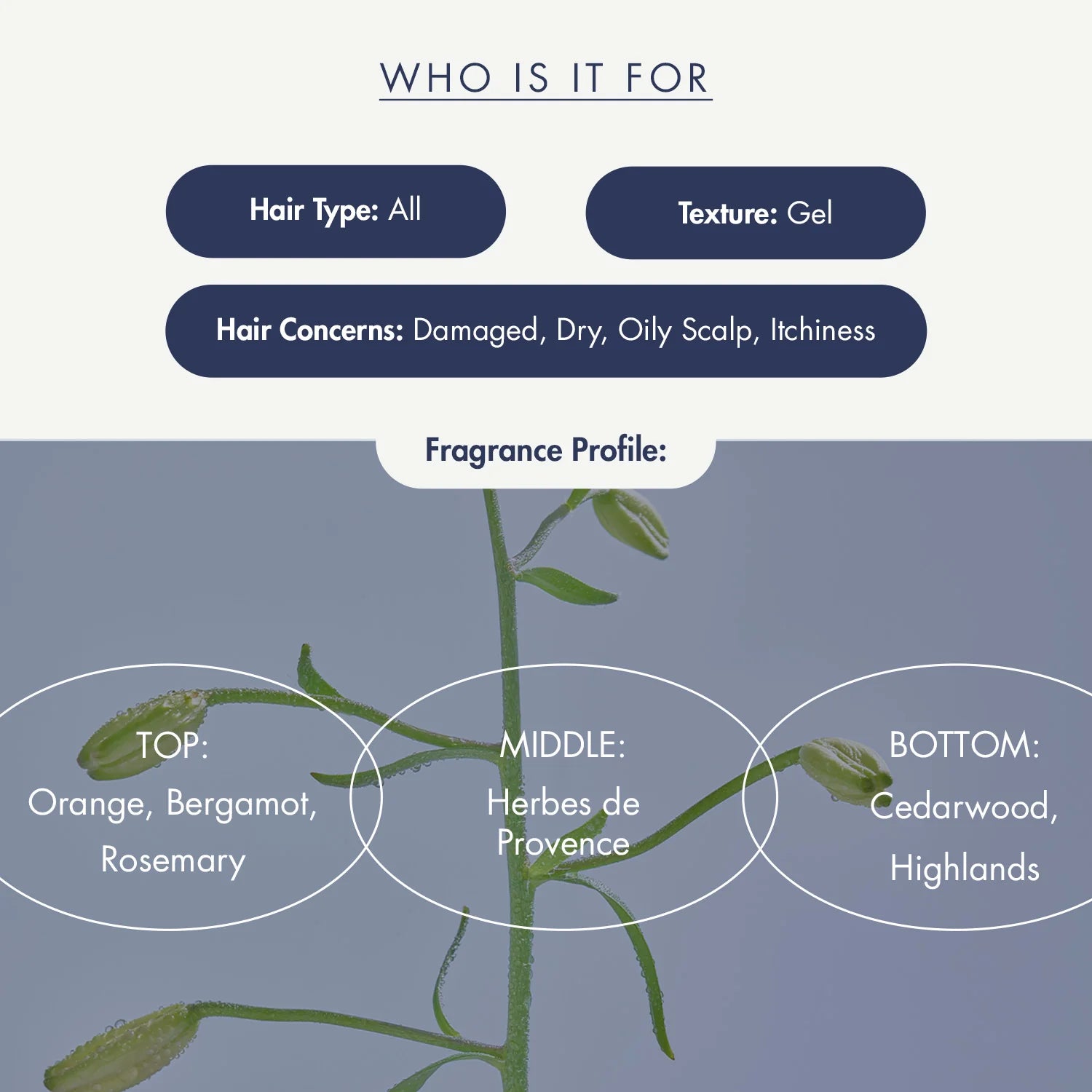 TRECELL - Night Collagen Shampoo Midnight Forest (360ml) 2 - Seoulful Skincare