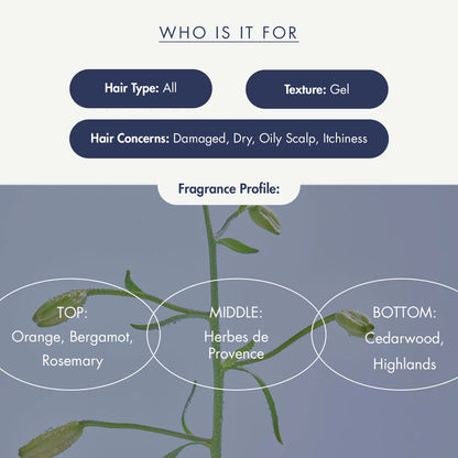 TRECELL - Night Collagen Shampoo Midnight Forest (360ml) 2 - Seoulful Skincare