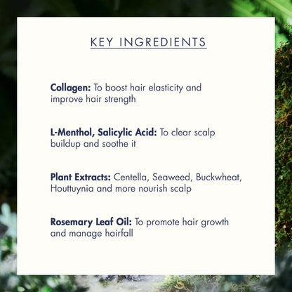 TREECELL - Night Collagen Shampoo Midnight Forest (360ml) 7 - Seoulful Skincare