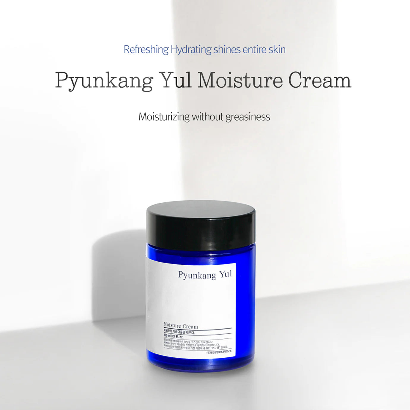 Basic Line - Moisture Cream (100ml)