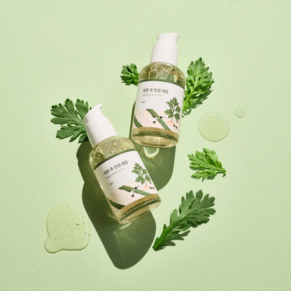 Round Lab - Mugwort Calming Serum (50ml) - v3 - Seoulful Skincare