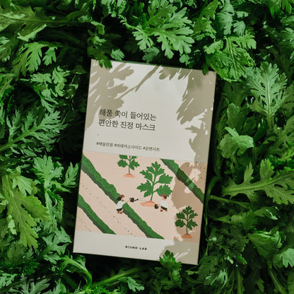 Round Lab - Mugwort Calming Sheet Mask (1pc, 5pc, 10pc) - v2 - Seoulful Skincare