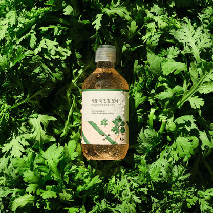 Round Lab - Mugwort Calming Toner (300ml) - v - Seoulful Skincare